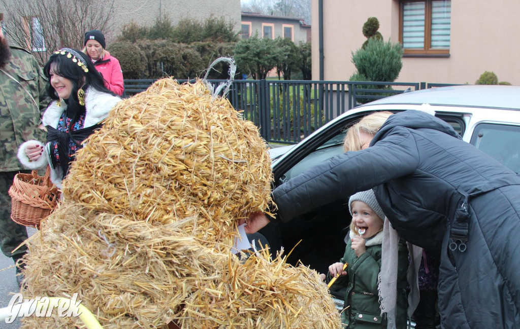 Bery w Miedarach. Zwyczaj kultywują od lat [GALERIA]