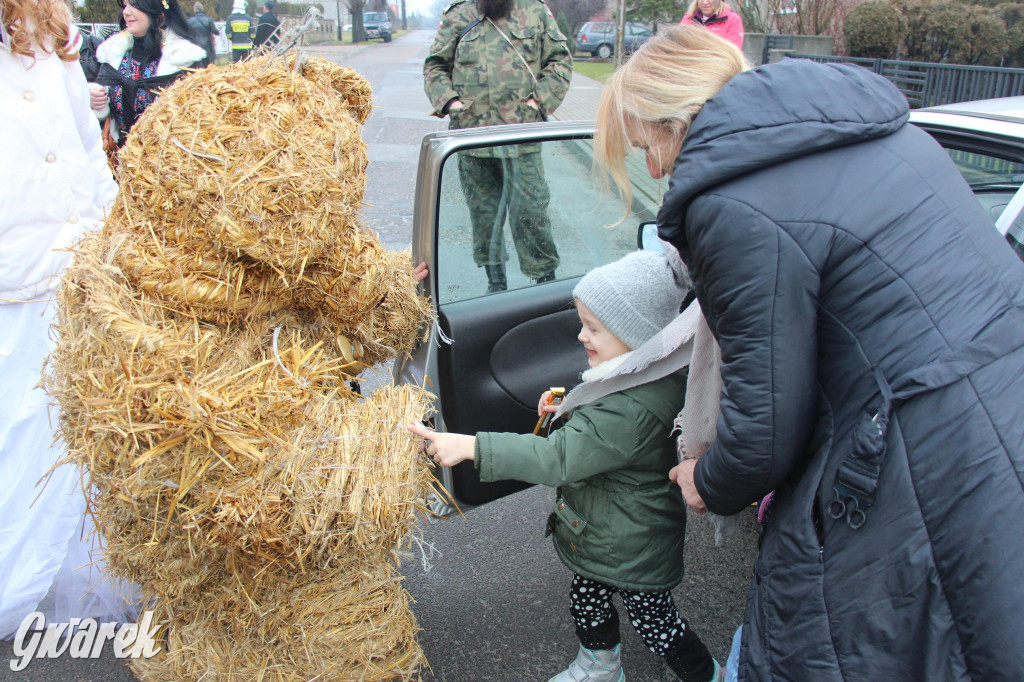 Bery w Miedarach. Zwyczaj kultywują od lat [GALERIA]