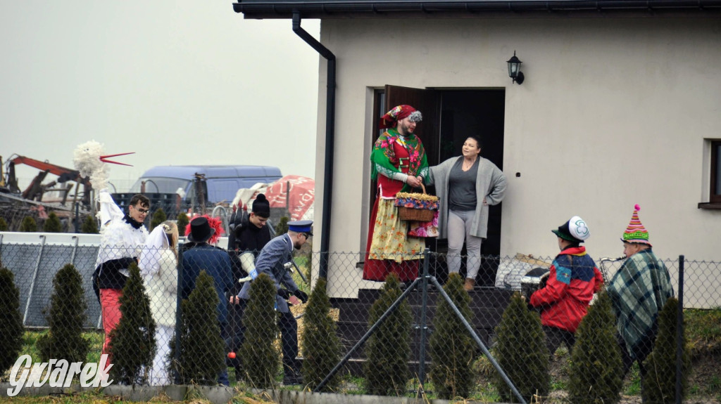 Kopienica. Łubie. Taniec z niedźwiedziem zapewnia powodzenie i dostatek