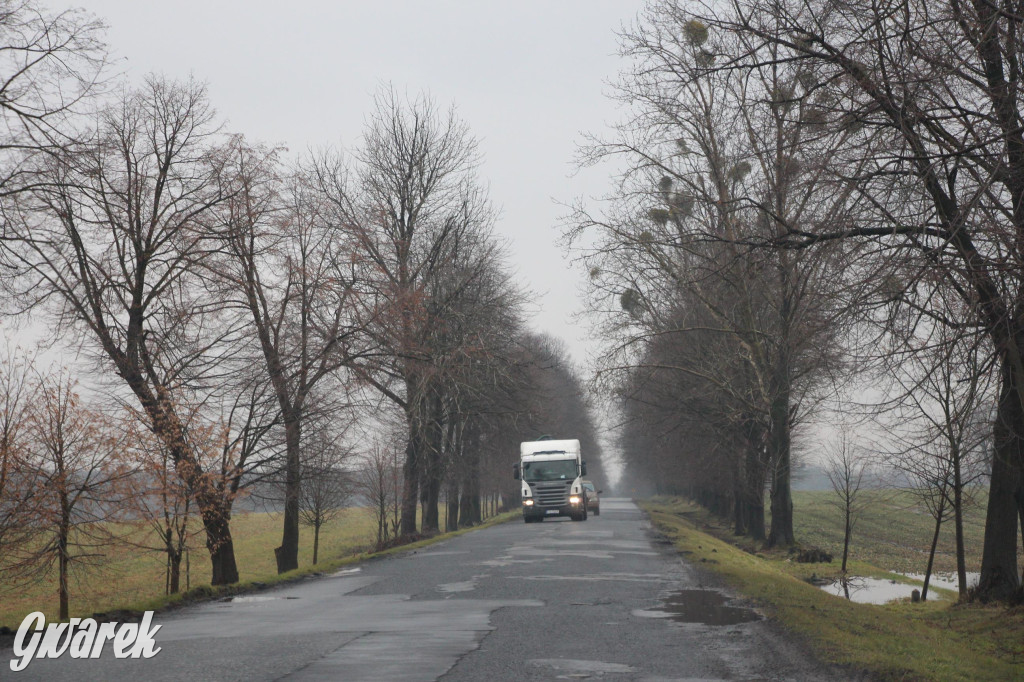 Ser z dziurami ma ich mniej niż nasze drogi [GALERIA]