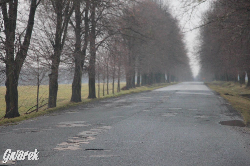 Ser z dziurami ma ich mniej niż nasze drogi [GALERIA]