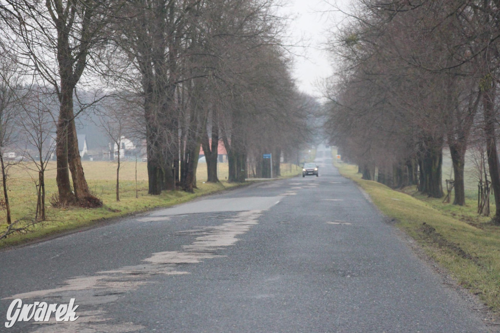 Ser z dziurami ma ich mniej niż nasze drogi [GALERIA]