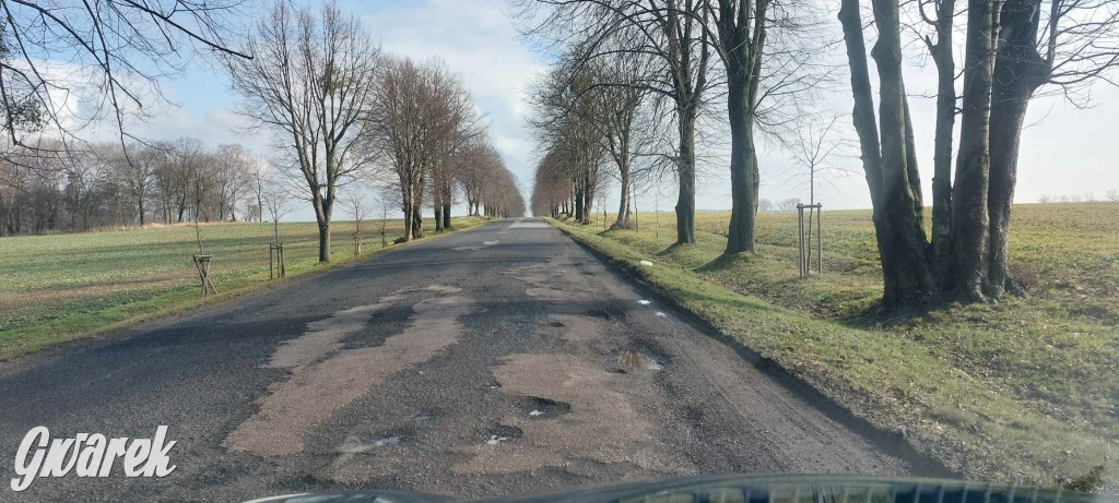 Ser z dziurami ma ich mniej niż nasze drogi [GALERIA]