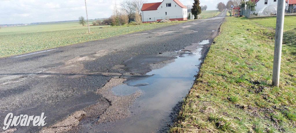 Ser z dziurami ma ich mniej niż nasze drogi [GALERIA]