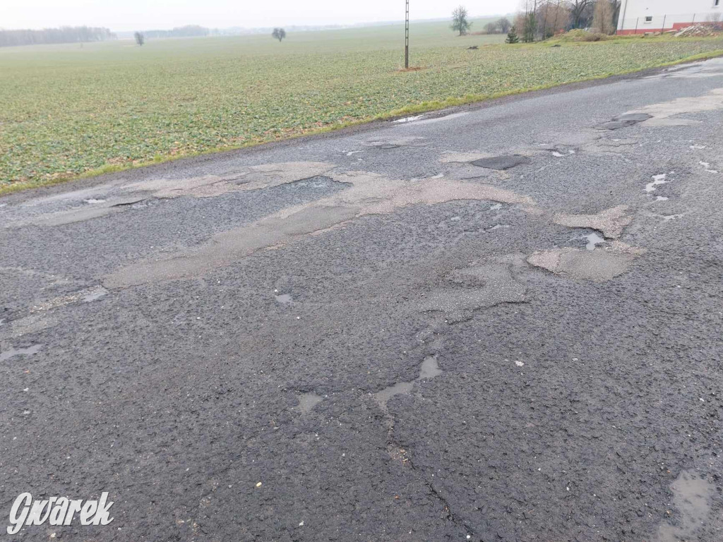 Ser z dziurami ma ich mniej niż nasze drogi [GALERIA]