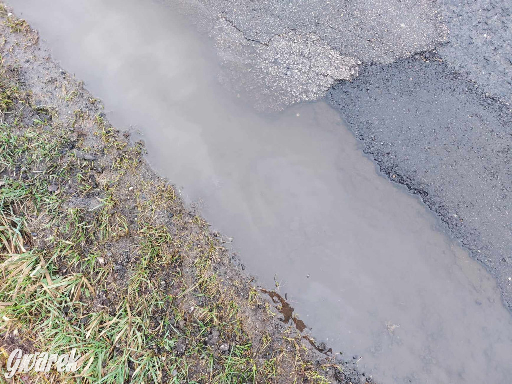 Ser z dziurami ma ich mniej niż nasze drogi [GALERIA]