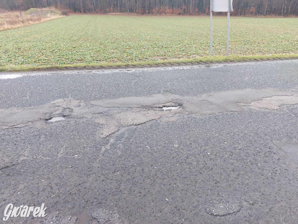 Ser z dziurami ma ich mniej niż nasze drogi [GALERIA]