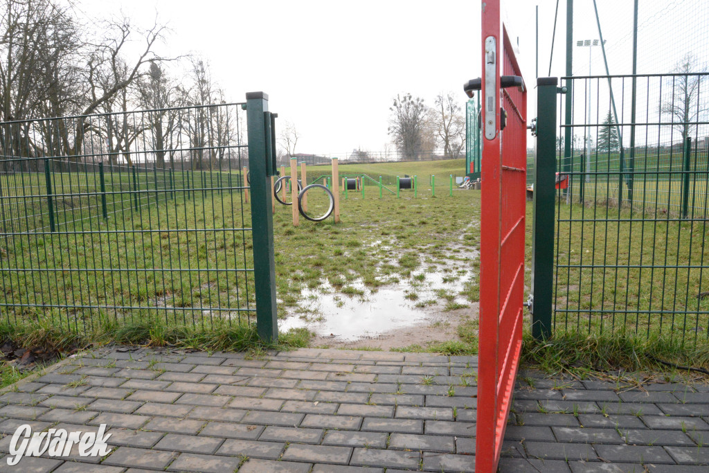 Tarnowskie Góry. Zalany wybieg dla psów