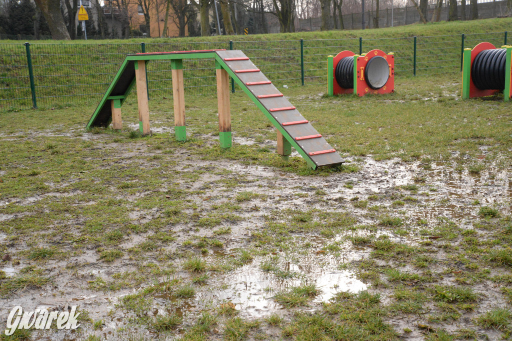 Tarnowskie Góry. Zalany wybieg dla psów