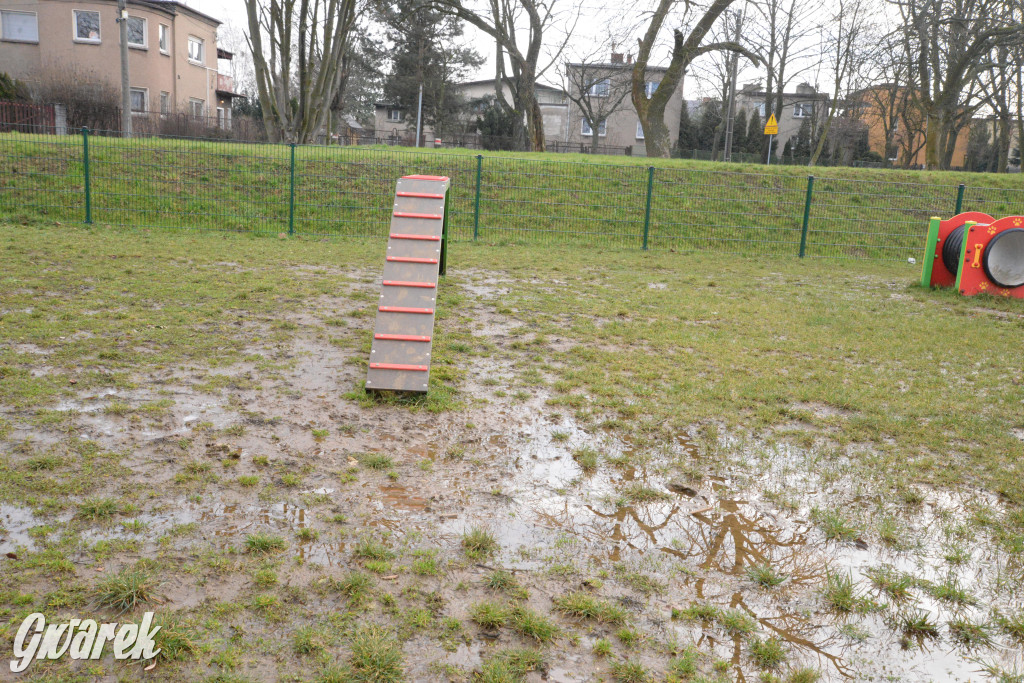 Tarnowskie Góry. Zalany wybieg dla psów