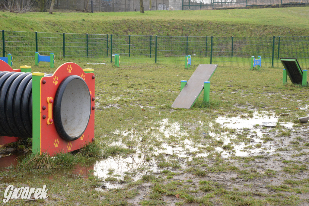 Tarnowskie Góry. Zalany wybieg dla psów