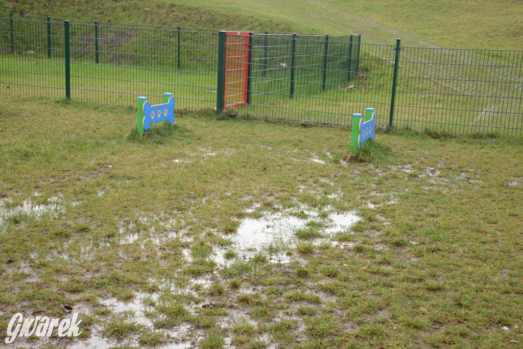 Tarnowskie Góry. Zalany wybieg dla psów