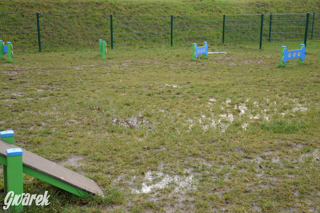 Tarnowskie Góry. Zalany wybieg dla psów