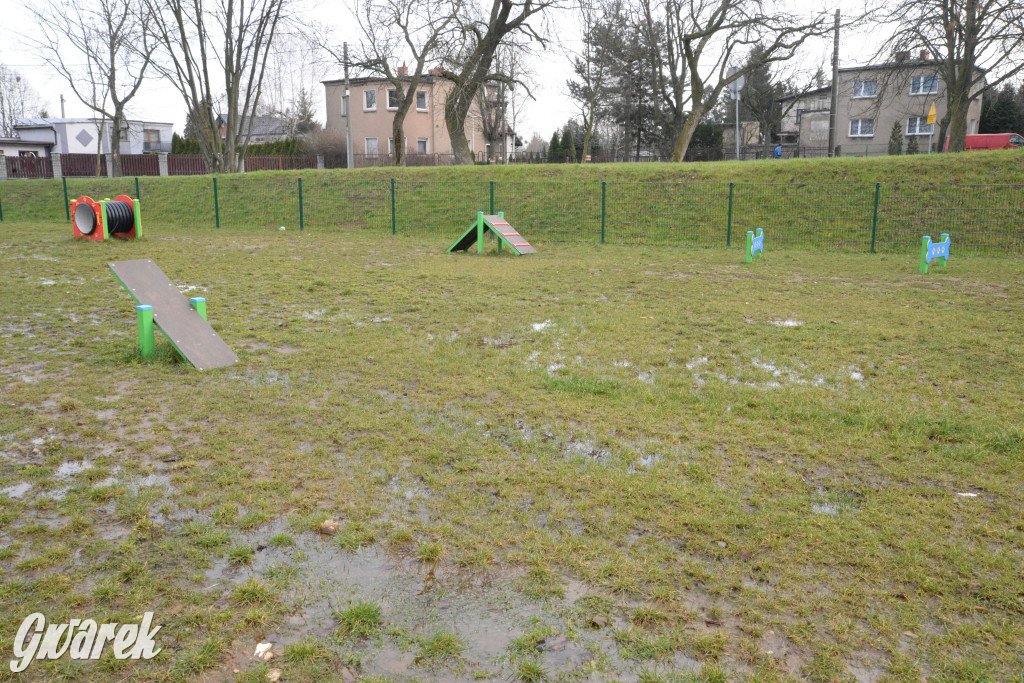 Tarnowskie Góry. Zalany wybieg dla psów