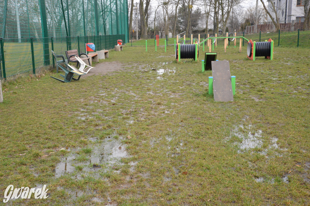 Tarnowskie Góry. Zalany wybieg dla psów