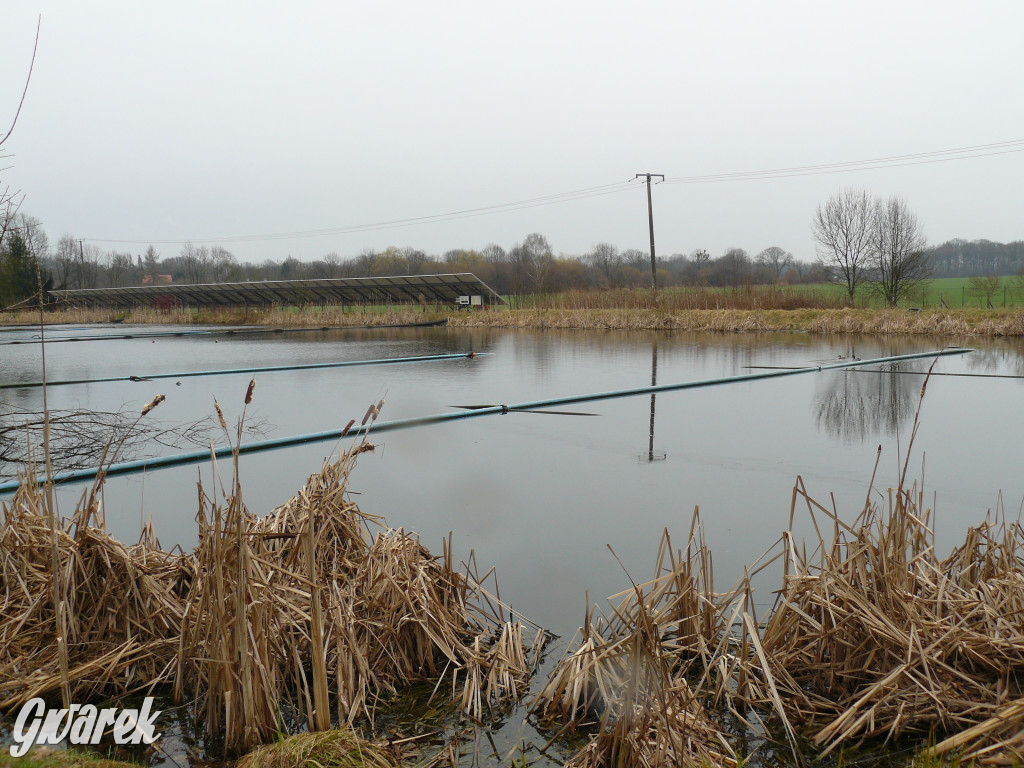 77 milionów złotych na kanalizację i oczyszczalnię