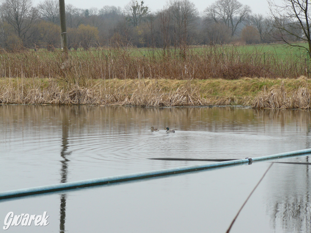 77 milionów złotych na kanalizację i oczyszczalnię