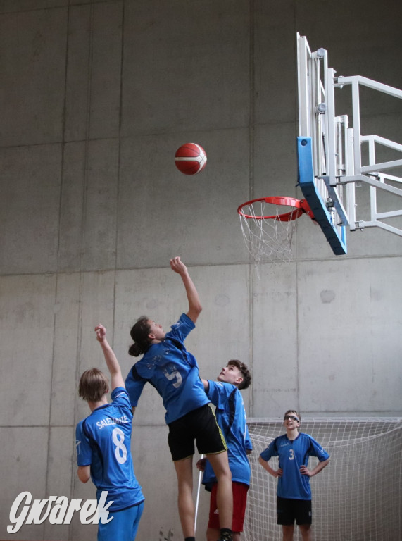 Tarnowskie Góry. Szkoły rywalizowały w koszykówce [FOTO]