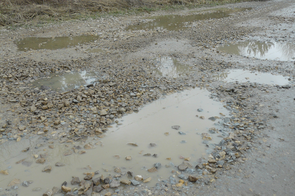 Tarnowskie Góry. Dziurawa Grzybowa