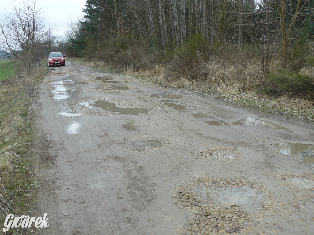 Tarnowskie Góry. Dziurawa Grzybowa
