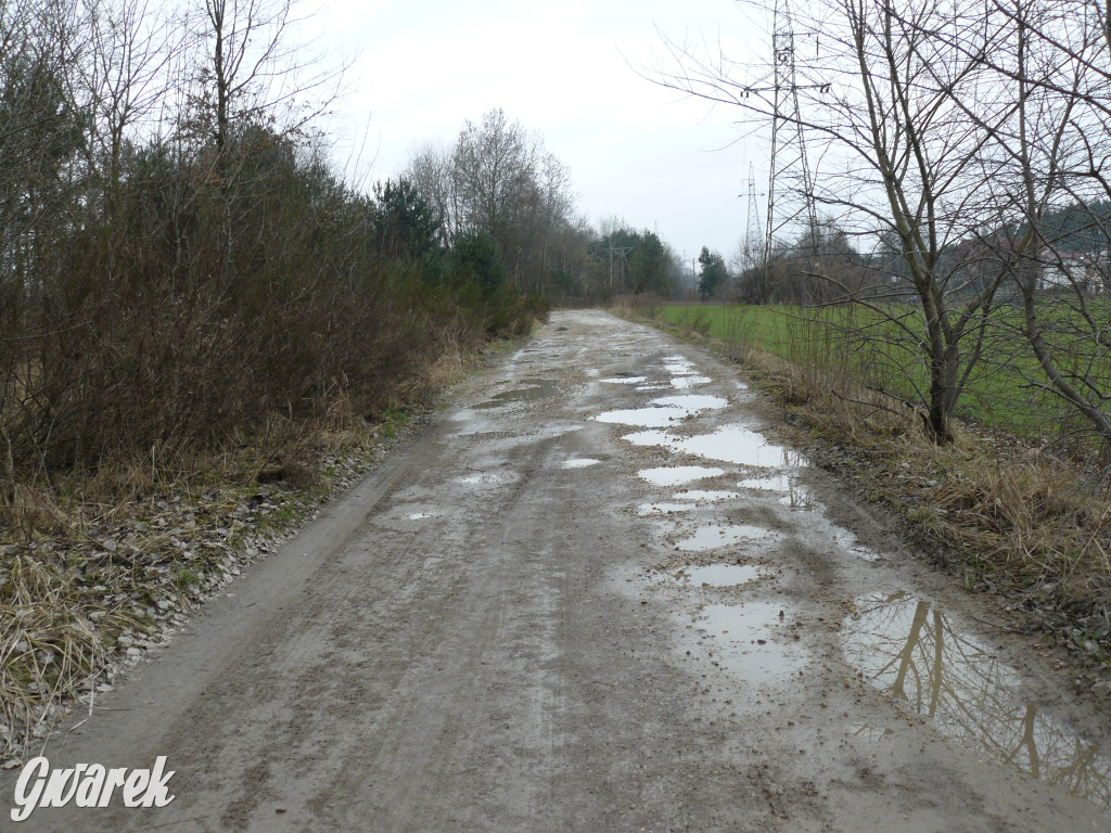 Tarnowskie Góry. Dziurawa Grzybowa