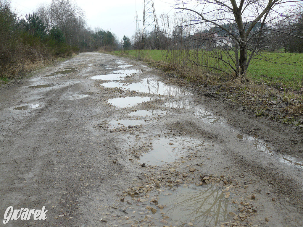 Tarnowskie Góry. Dziurawa Grzybowa