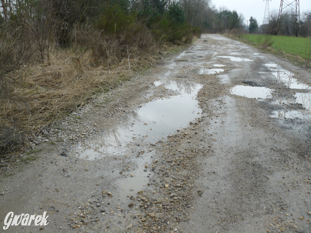 Tarnowskie Góry. Dziurawa Grzybowa