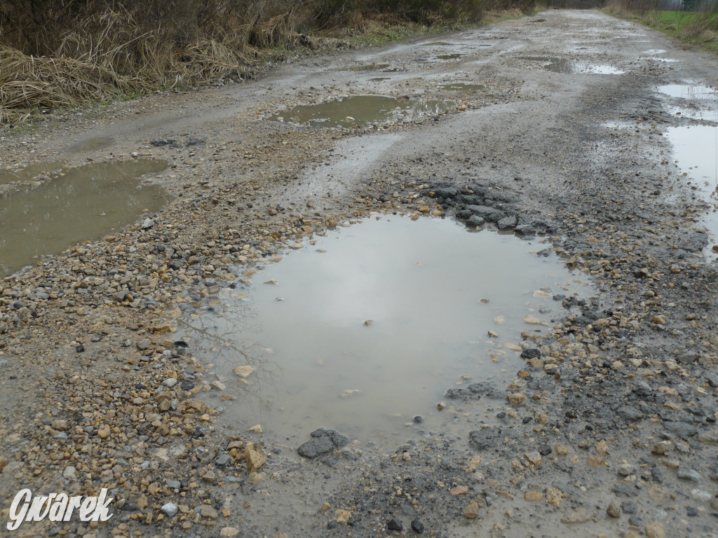 Tarnowskie Góry. Dziurawa Grzybowa