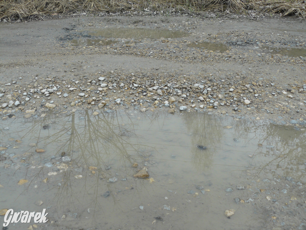 Tarnowskie Góry. Dziurawa Grzybowa