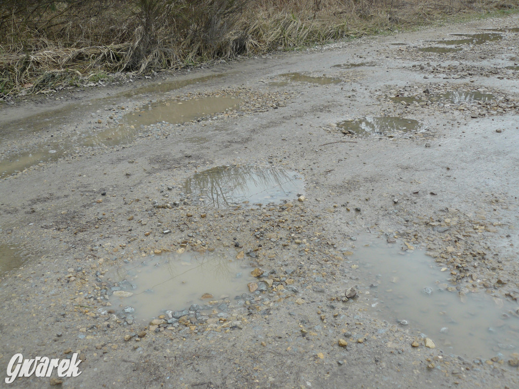 Tarnowskie Góry. Dziurawa Grzybowa