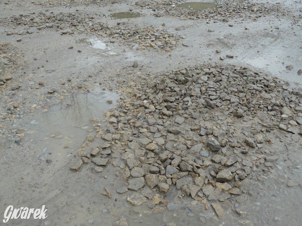 Tarnowskie Góry. Dziurawa Grzybowa