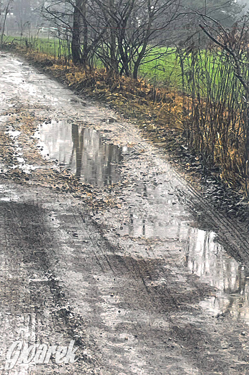 Tarnowskie Góry. Dziurawa Grzybowa
