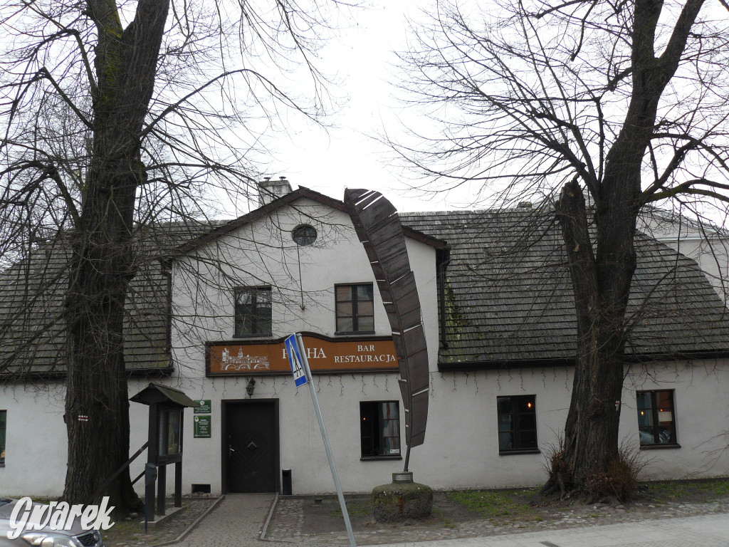 Obrona wiekowych lip czy kampania wyborcza?