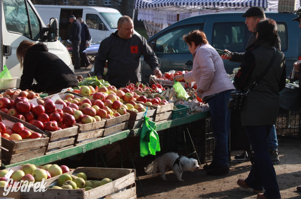 Tarnowskie Góry. Na targu wiosennie i świątecznie [FOTO]