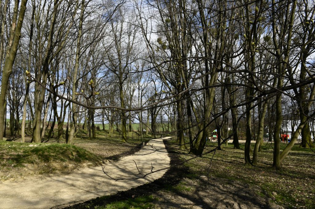 Wiosenny spacer w parku Donnersmarcków [FOTO]