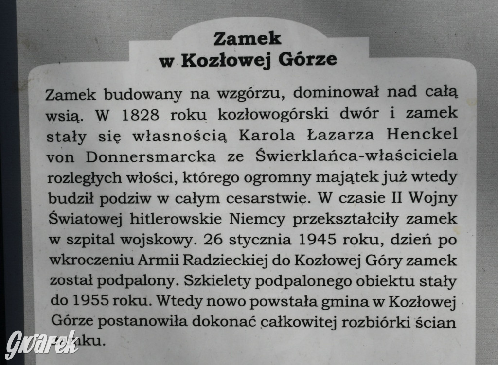Wiosenny spacer w parku Donnersmarcków [FOTO]