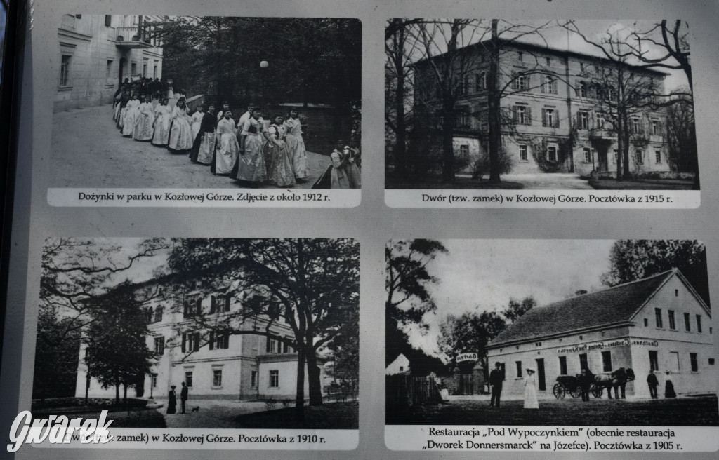 Wiosenny spacer w parku Donnersmarcków [FOTO]