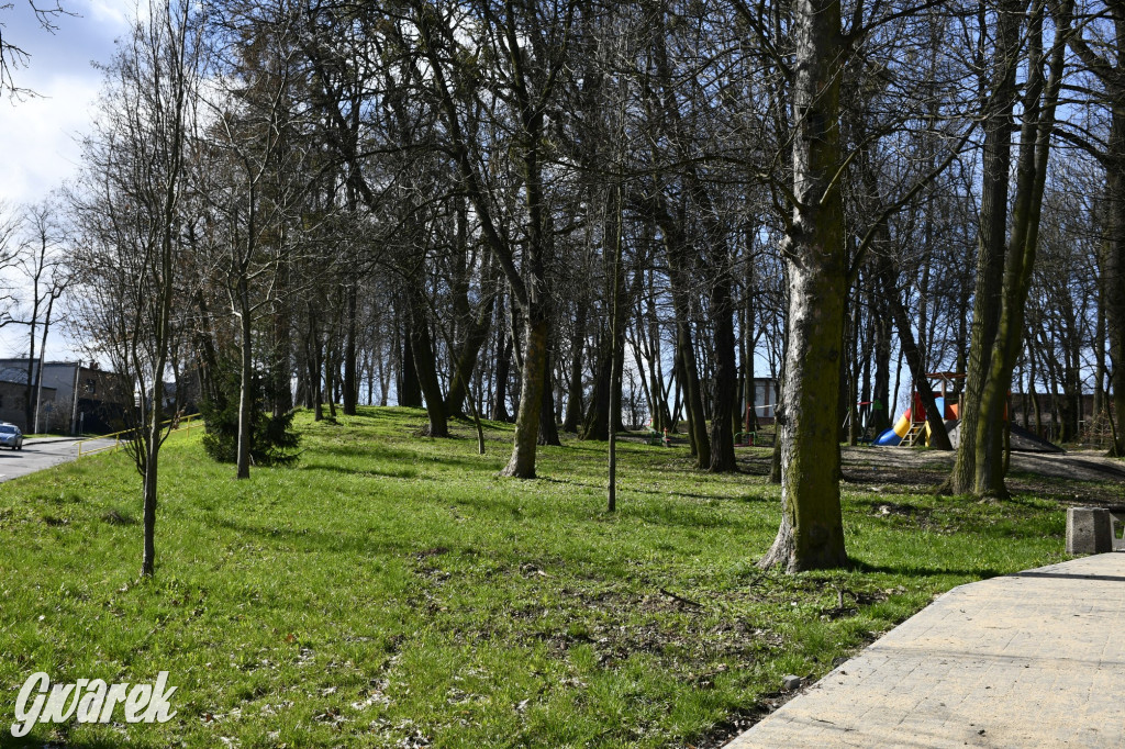 Wiosenny spacer w parku Donnersmarcków [FOTO]