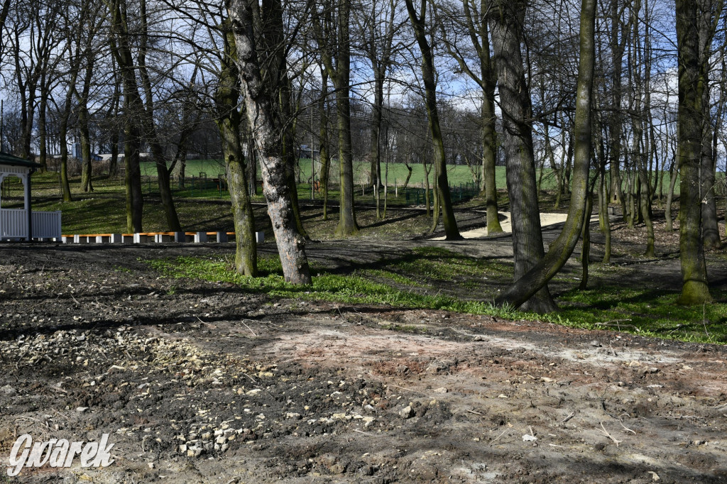 Wiosenny spacer w parku Donnersmarcków [FOTO]