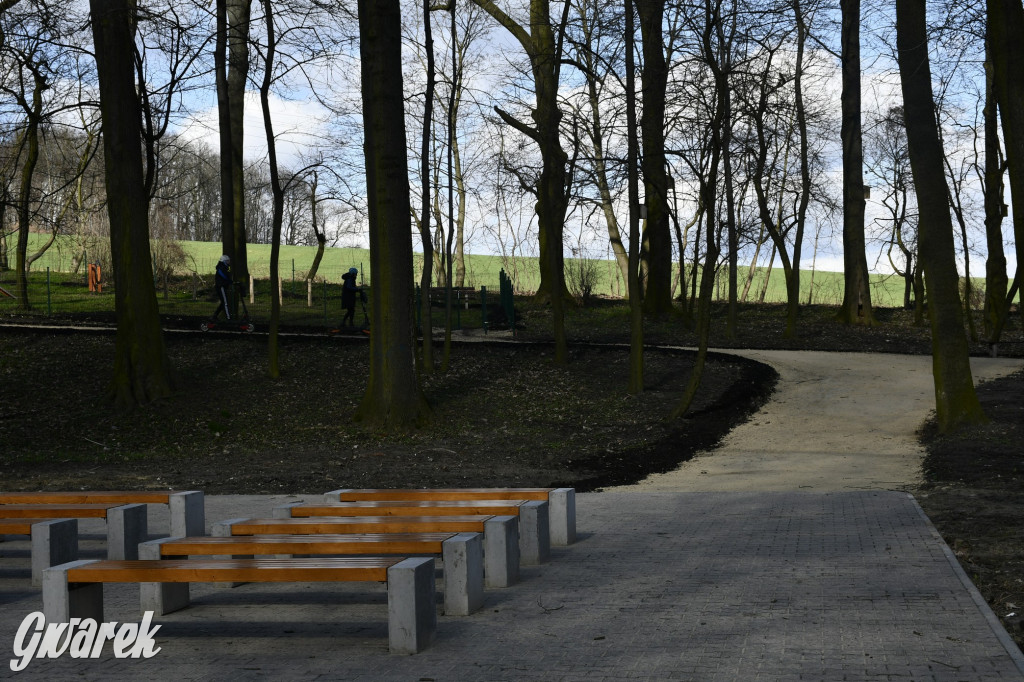 Wiosenny spacer w parku Donnersmarcków [FOTO]