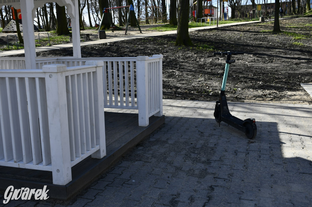 Wiosenny spacer w parku Donnersmarcków [FOTO]