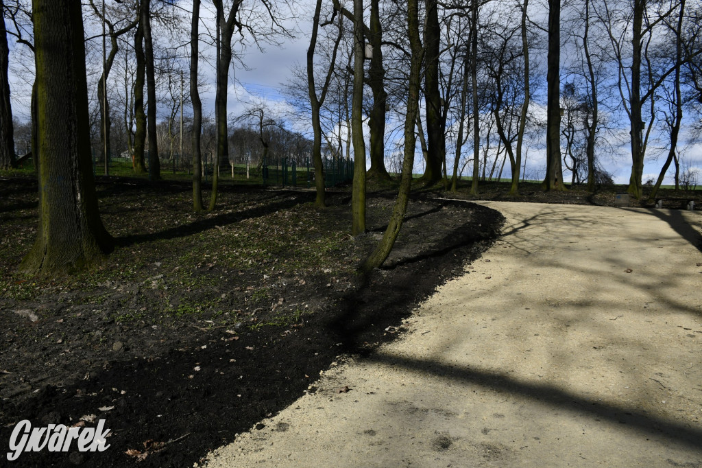 Wiosenny spacer w parku Donnersmarcków [FOTO]