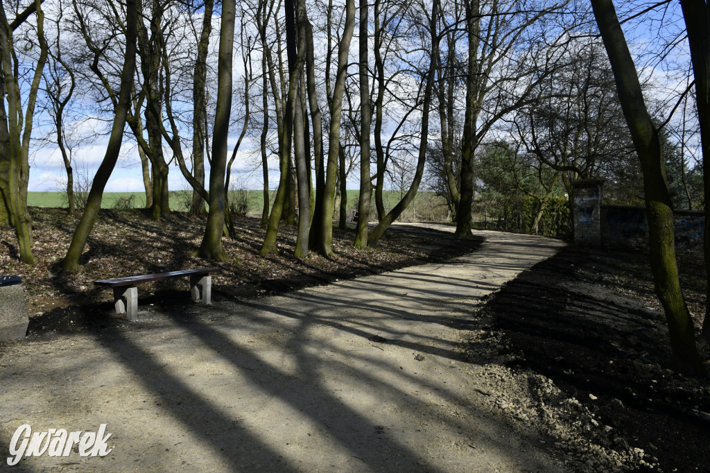Wiosenny spacer w parku Donnersmarcków [FOTO]