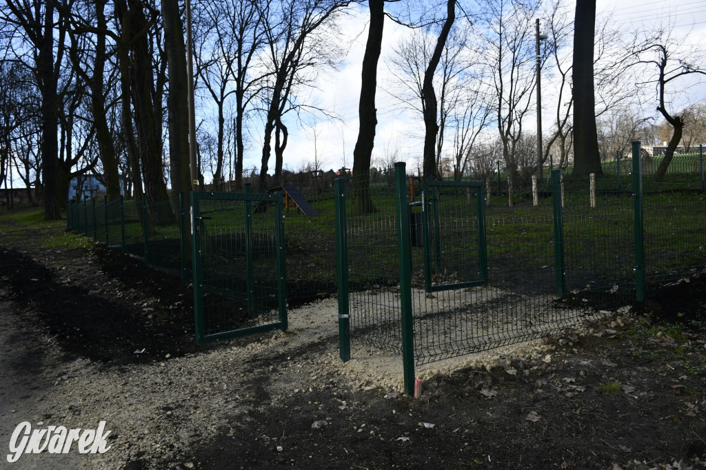 Wiosenny spacer w parku Donnersmarcków [FOTO]