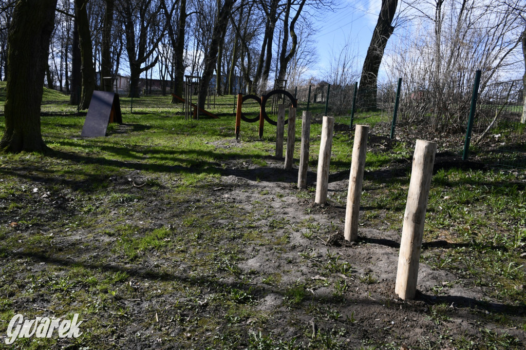 Wiosenny spacer w parku Donnersmarcków [FOTO]