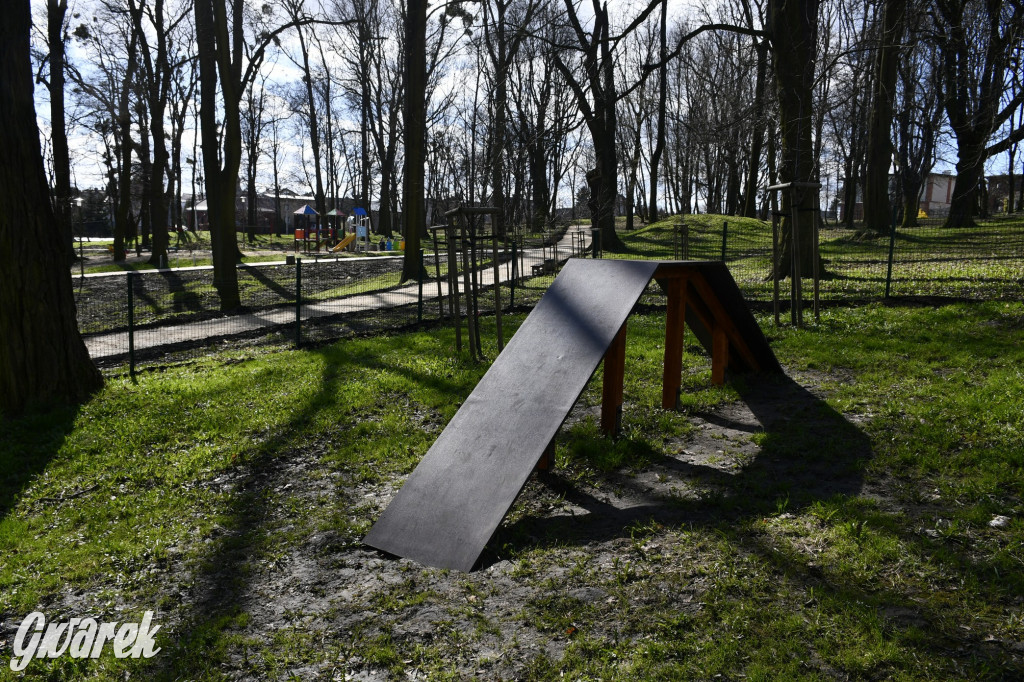 Wiosenny spacer w parku Donnersmarcków [FOTO]