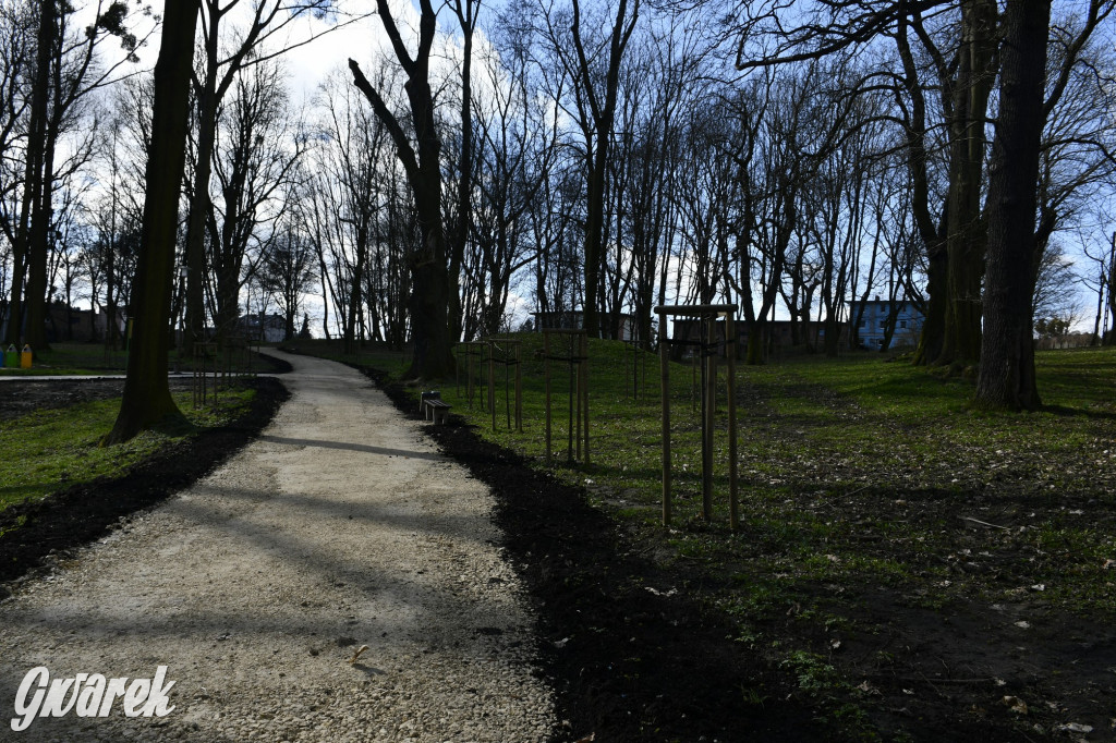 Wiosenny spacer w parku Donnersmarcków [FOTO]