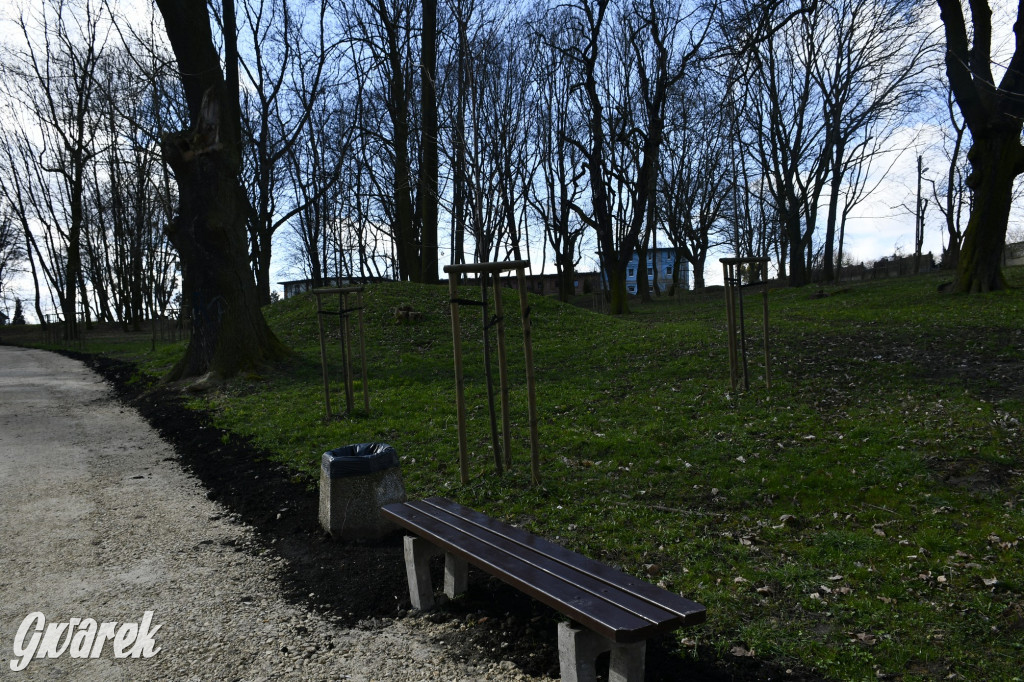 Wiosenny spacer w parku Donnersmarcków [FOTO]