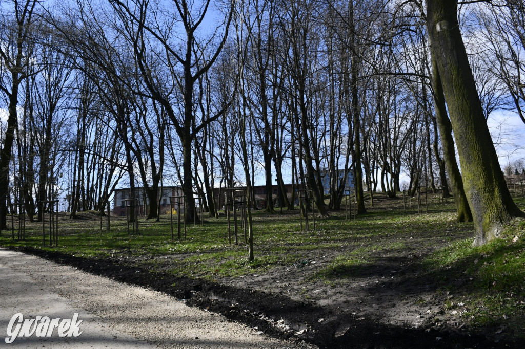 Wiosenny spacer w parku Donnersmarcków [FOTO]