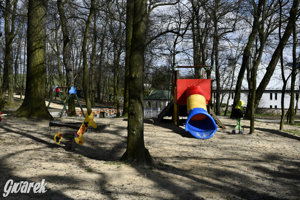 Wiosenny spacer w parku Donnersmarcków [FOTO]